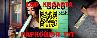 PSILOCYBIN Ставрополь
