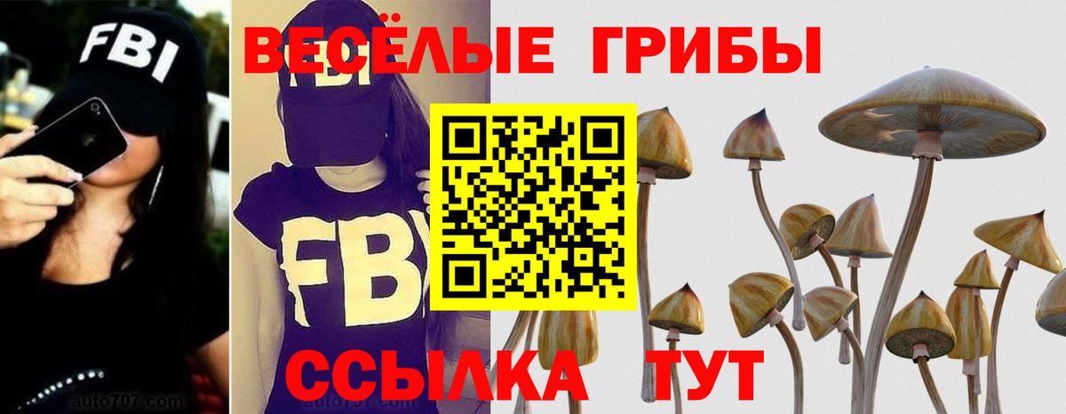 Псилоцибиновые грибы Cubensis  Вход с VPN  Осинники 